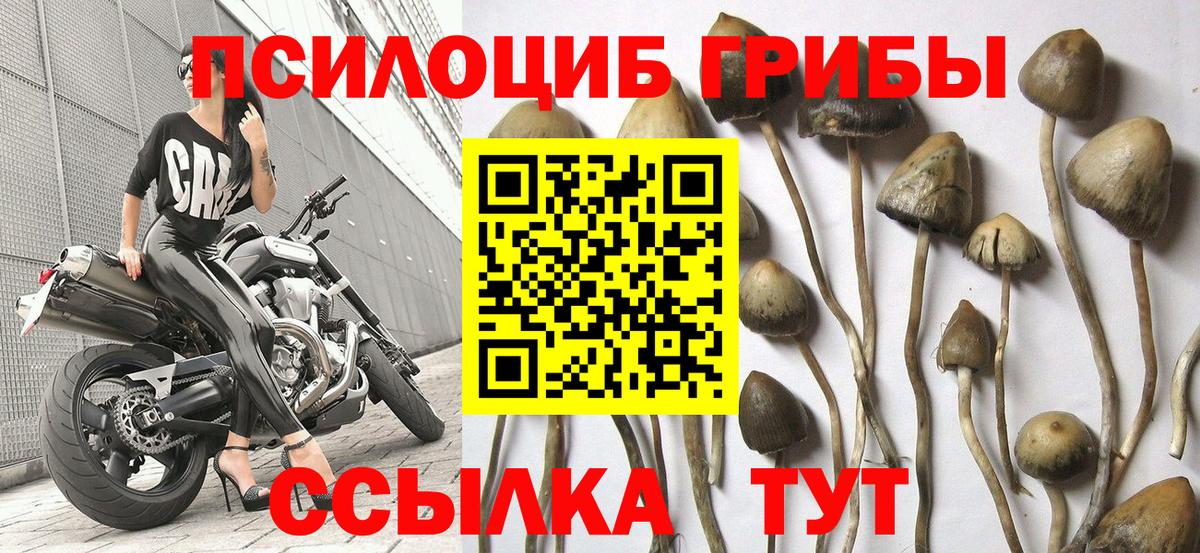 Вологда  Галлюциногенные грибы ЛСД  Вход с VPN  Галлюциногенные грибы мицелий 