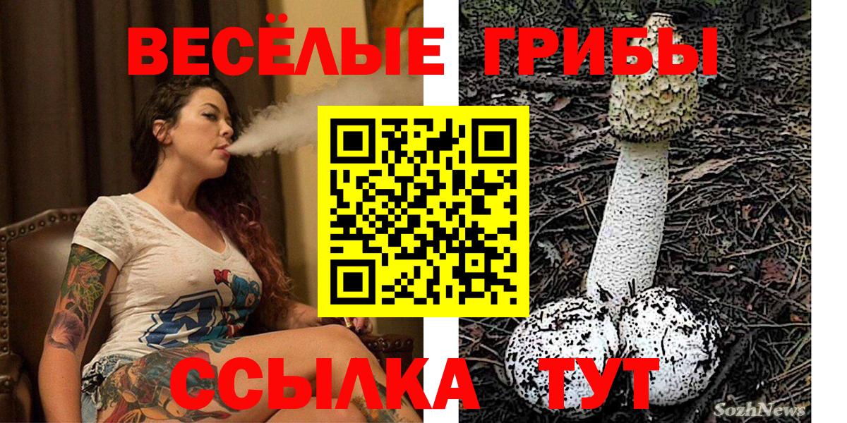 Галлюциногенные грибы Psilocybe Вологда